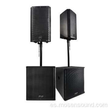 Hermoso y duradero altavoz de subwoofer de canto profesional